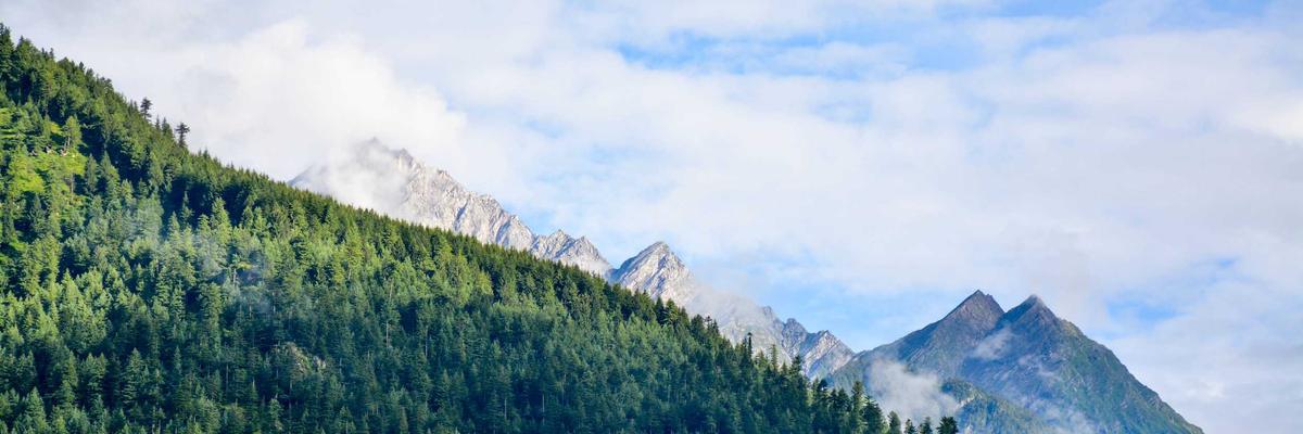 Vaccination en officine : le bilan positif de 2025